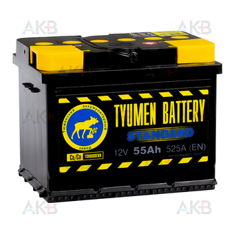 Автомобильный аккумулятор Tyumen Battery Standard 55 Ач обр. пол. 525A (242x175x190)